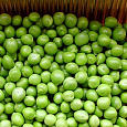 Горох  Сахарный 2