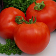 Томат Розетта F1