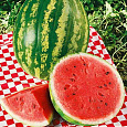 Арбуз  Порционный красный F1